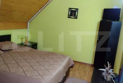 Pensiune(Casa de locuit) + Restaurant, Cugir – pe marginea raului Mare - 2