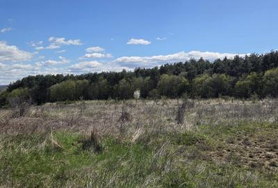 Teren Construcții intravilan de 1316 mp, în Uiasca - 2