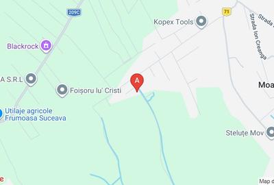 Vând teren în Moara, strada Tinoasa, 12 000 mp - 1