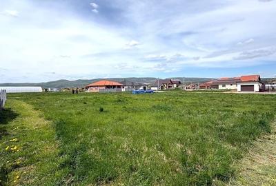 Spațiu comercial, în Mihai Viteazu - 1