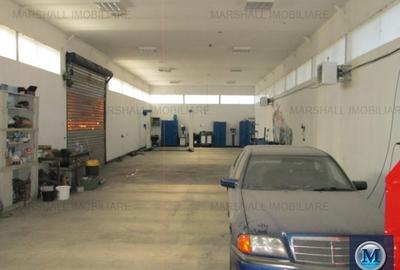 Spațiu industrial, de 450 mp, în Albert - 5