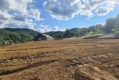 Parcele Teren cu PUZ si toate utilitatile / Cisnadioara-Sibiu - 4