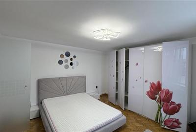 Inchiriere casa individuala 3 dormitoare in Gruia, teren 600 mp - 12