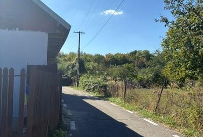 Casa renovata in Ghirdoveni Dambovita curte 470m2 direct proprietar - 2