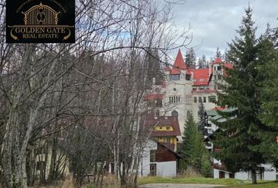 Oportunitate unica in Poiana Bra?ov Vila cu 9 camere ?i teren generos - 2