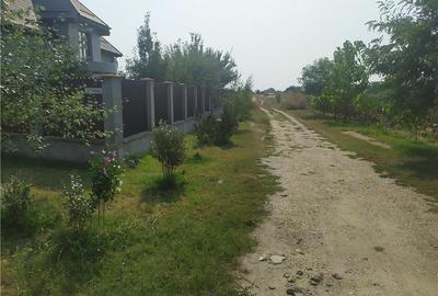 Teren de 600 mp, în Frumușani - 1
