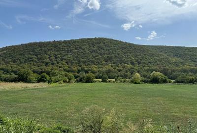 Spațiu comercial, în Slava Cercheză - 3