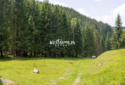 Pretabil Hotel,Pensiune,Case de Vacanta/Utilitati/PUZ - 18