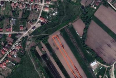 Spațiu comercial, în Biharia - 1