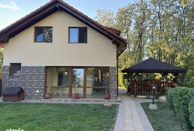 Casă cu 4 camere cu Teren 700 Mp în Lugojel - 24