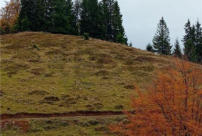 Spațiu comercial, în Cresuia - 1