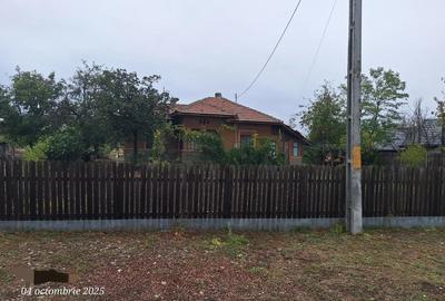 Casă cu 6 camere cu Teren 3555 Mp în Ileana - 6