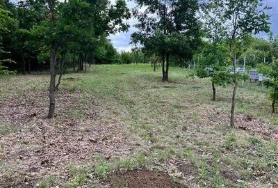 RECO teren de vanzare in zona Betfia - 2