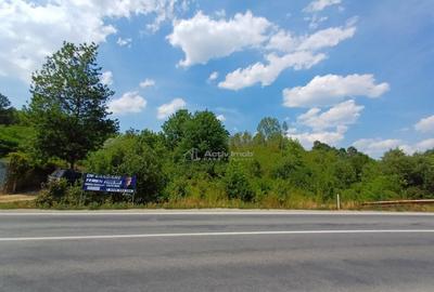 Resita, Terenuri Intravilane 2000 Mp., 28 Euro/Mp., Calea Ca - 3