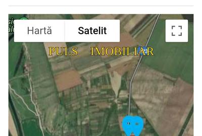 Teren Construcții intravilan de 3000 mp, în Topalu - 1
