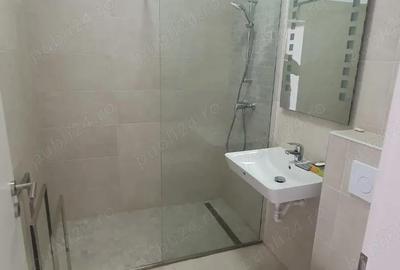 Apartament cu 2 camere semidecomandat în Dumbrăvița - 3