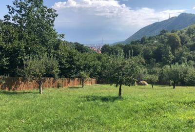 Teren Construcții intravilan de 4193 mp, în Schei - 1