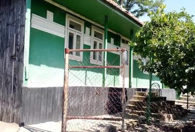 Casă cu Teren 4634 Mp în Gugești - 1