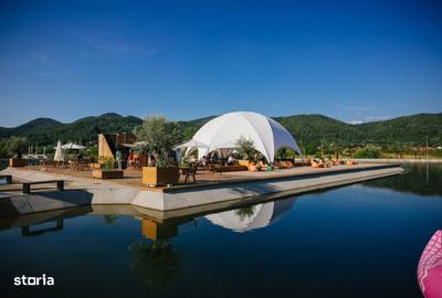 Teren de 40100 mp, în Cicârlău - 9