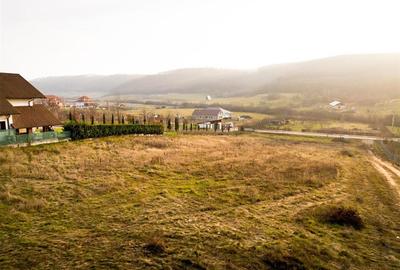Teren Construcții intravilan de 560 mp, în Betfia - 7