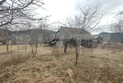 Casă cu 4 camere cu Teren 2500 Mp în Putna - 8