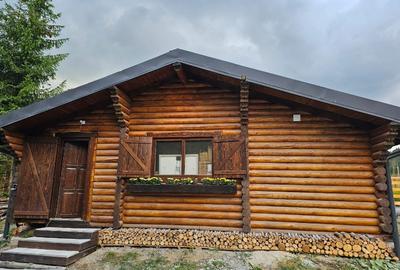 1140mp si cabana Obarsia Lotrului Transalplina 3km partia ski, TOATE UTILITATILE - 1