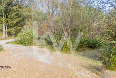 Vanzare teren intravilan 37723 mp Zarnesti Tohanita - 13