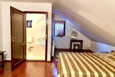 Pensiune cu 13 camere de vanzare in Bulz - 11