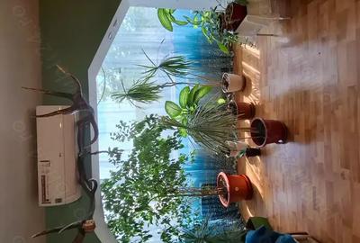 Apartament cu 2 camere semidecomandat în Soarelui - 3