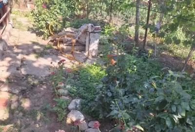 Casă cu 4 camere în Botoroaga - 5