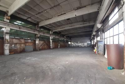 Hala 430 mp in zona Fizicienilor + platforme betonate sau birouri - 3