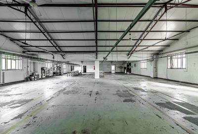 4.049 mp Hale industriale in Arad, aproape de A1 - 18