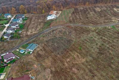 De Vanzare Teren 1,286mp Barnova - Str. Camil Petrescu 0% comision - 4