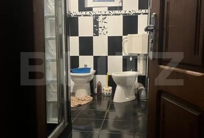 Casa cu piscina P+M, 1.368 mp teren,  Leamna de Sus - 12