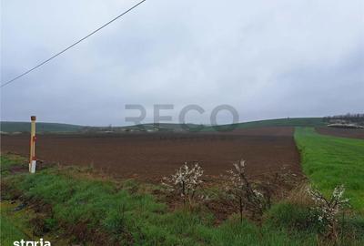 Teren de 10000 mp, în Viișoara - 4