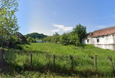 Spațiu comercial, în Zmeurătu