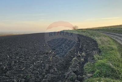 Teren de 30077 mp, în Stroiești