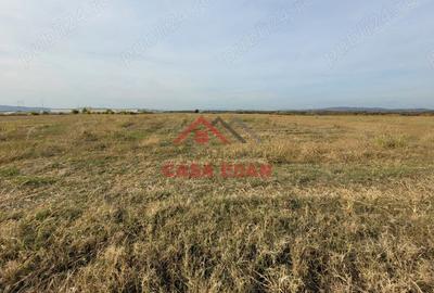 Casă cu Teren 10000 Mp în Băicoi - 4