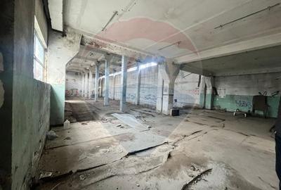 Spațiu industrial, de 1,500 mp, în Iancu Nicolae