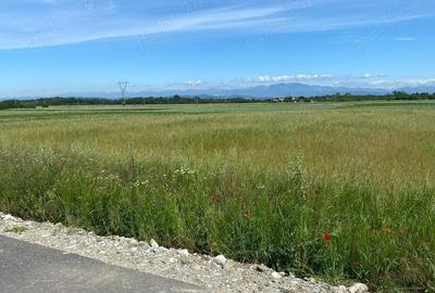 Teren in Galicea, ideal pentru casa sau afacere - 2