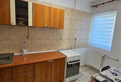 Garsoniera Dr. Taberei ANL Brancusi Dr. Doftanei - 2