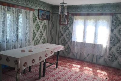 Casă cu 3 camere în Densuș - 6