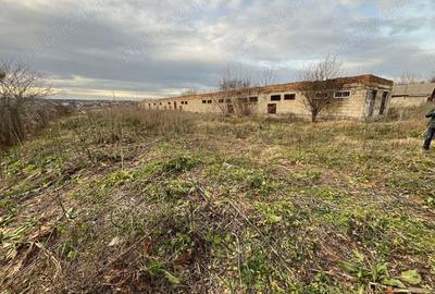 Teren zona INDUSTRIALA cartier viticulturii - 3