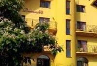 Inchiriez Pensiunea Ruxandra de Revelion 2026 - 1