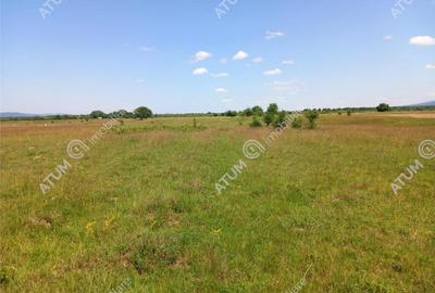 Teren intravilan 5000 mp pe Valea Avrigului, Sibiu - 3