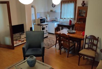 Casă de vânzare în Serbia – Modoș (Jaša Tomić), la doar 50 km de Timișoara - 7