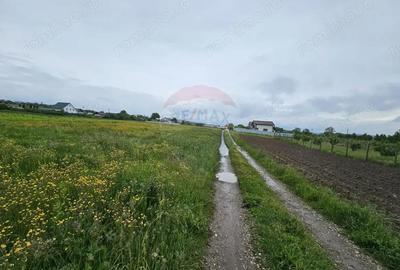 Teren de 1495 mp, în Dobreni - 9