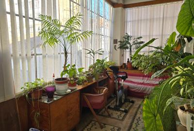 Apartament deosebit in centrul  Timisoarei, cu terasa si curte - 8