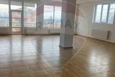 Casă individuală cu 11 camere cu Teren 4200 Mp în Corbeanca - 7