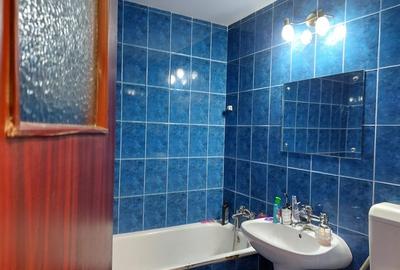 Prelungirea Ghencea capat tramvai 41- Titel Petrescu - 5